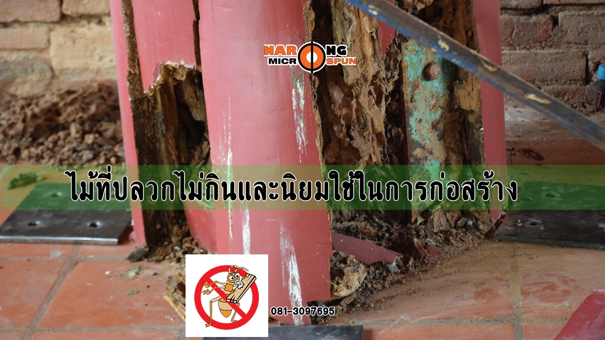 ปลวกกินไม้