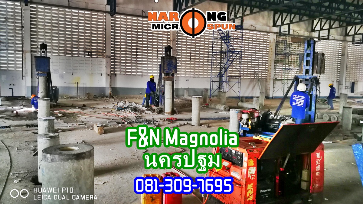 micropile-F&N