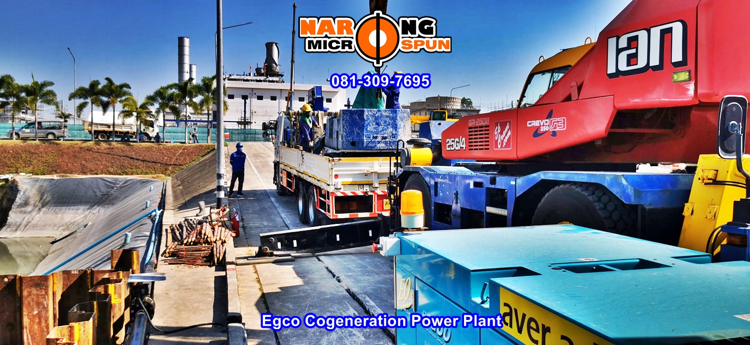Egco Cogeneration Power Plant-micropile-cover
